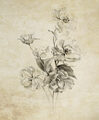 Image Not Available
